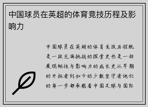 中国球员在英超的体育竞技历程及影响力